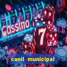 canil municipal porto alegre